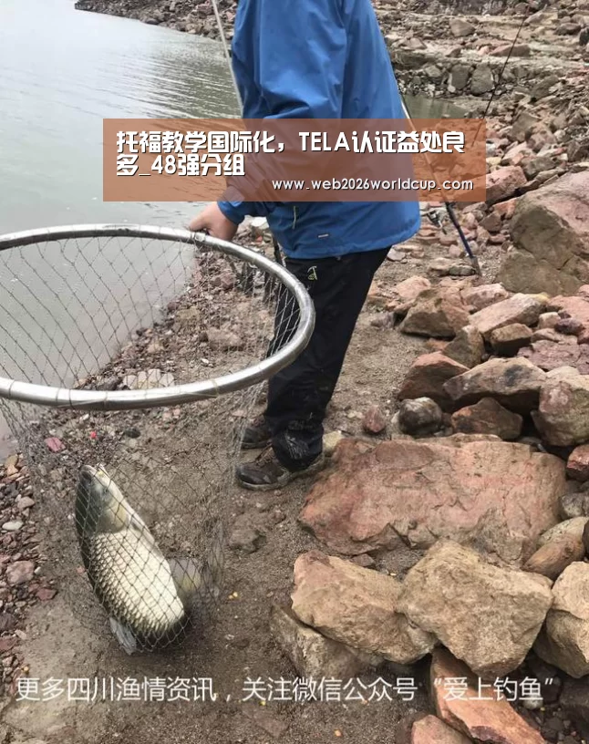 托福教学国际化,TELA认证益处良多_4